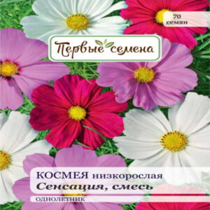 yoE4YqrQYOlbF8E6Ocu6jPZerXuQBB3N400_400-1