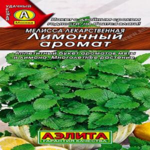 ysTiW3inDOaoCtcwSc8urCFTrExeyN5F400_400-1