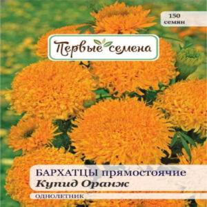 z3nKQue2JJOTV3FIs4GkTEWFii89LDpF400_400-1