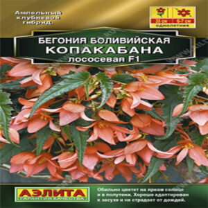 zAnTGHvTV5vDzgmOqYQfMqqa7cwlM9vK400_400-1