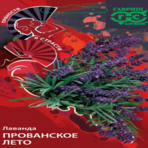 zKzdN7hQGmeuMitBQu93erU4orpH1IFx400_400-1
