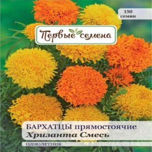 zmtx4YAU44xdzv3a6ktprikEtaz6NZJb400_400-1