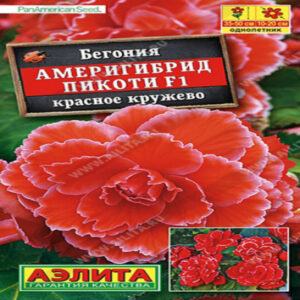 zsFI5dKIkriiTGdQrdXkyGs9qNrUeZbv400_400-1