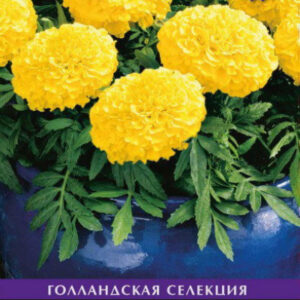 28apv5TCAGmwnMH4lkYR6Xb3gWYRI4Li400_400-1