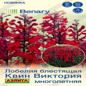 hx0YMiNRTLiV6PMi16QHlUaJISfONjlg400_400-1