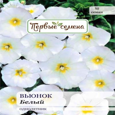 kTo3CTnapIsThUQXCHxZi7JuR5TUSB2F400_400-1